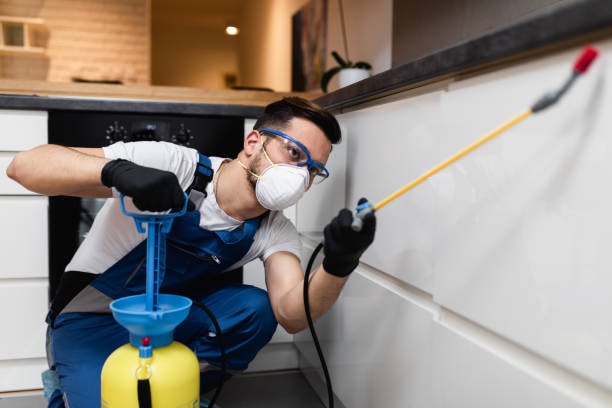 Pest Control Cost in Mendon, UT