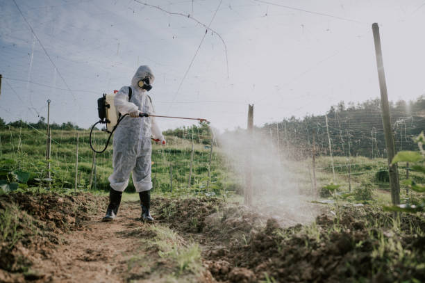 Best Commercial Pest Control Services  in Mendon, UT