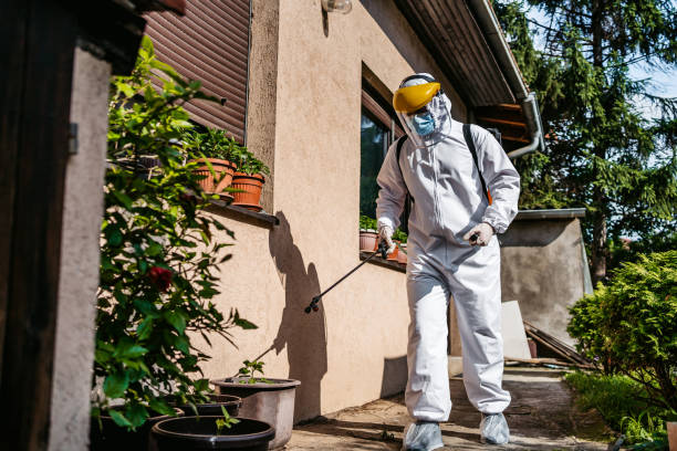 Best Mosquito Control Services  in Mendon, UT