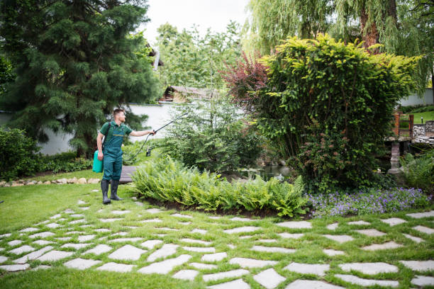 Best Pest Control Near Me  in Mendon, UT