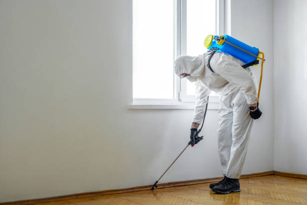 Best Exterminator Services  in Mendon, UT