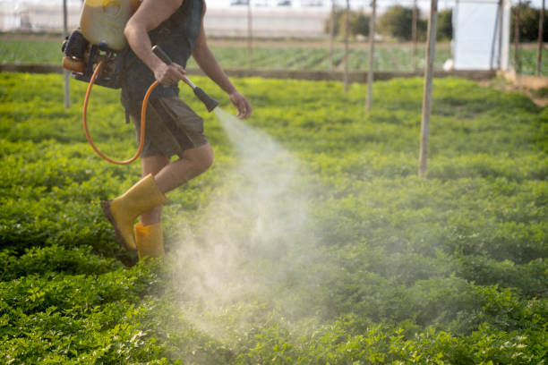  Mendon, UT Pest Control Pros
