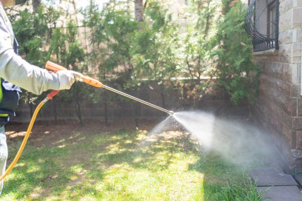 Best Pest Control Near Me  in Mendon, UT