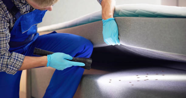 Best Residential Pest Control  in Mendon, UT