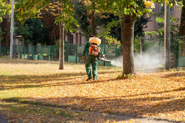 Best Affordable Exterminators  in Mendon, UT