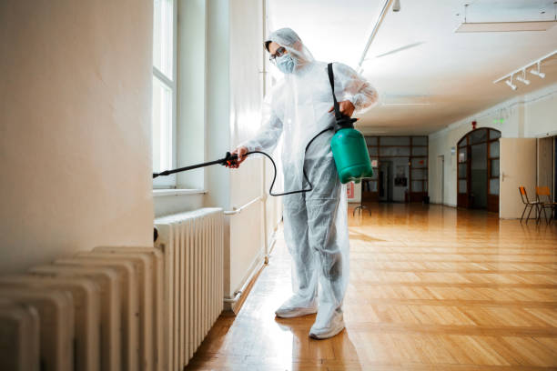 Best Pest Control Near Me  in Mendon, UT