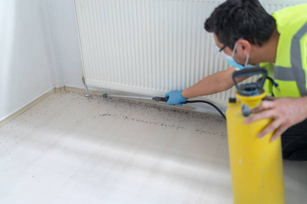 Best Pest Inspection Near Me  in Mendon, UT
