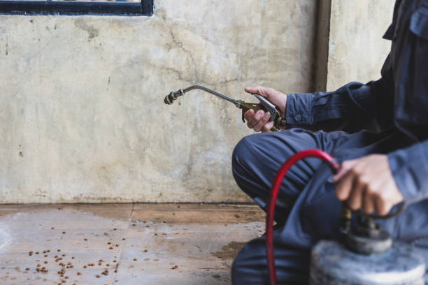 Professional Pest Control in Mendon, UT